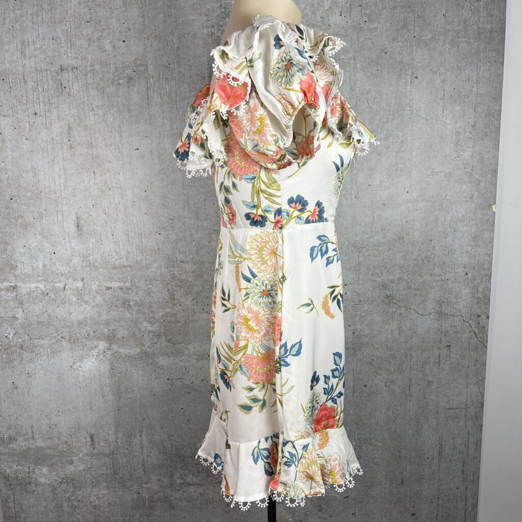 Agel Biba Mini Dress 10 The Trading Rack