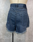 One Teaspoon Shorts - 11/29