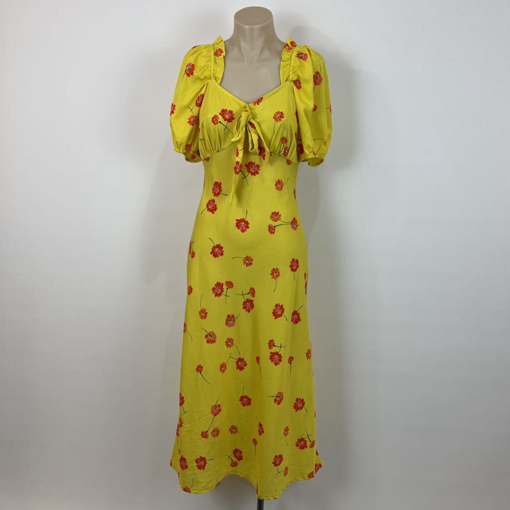 Collection Image