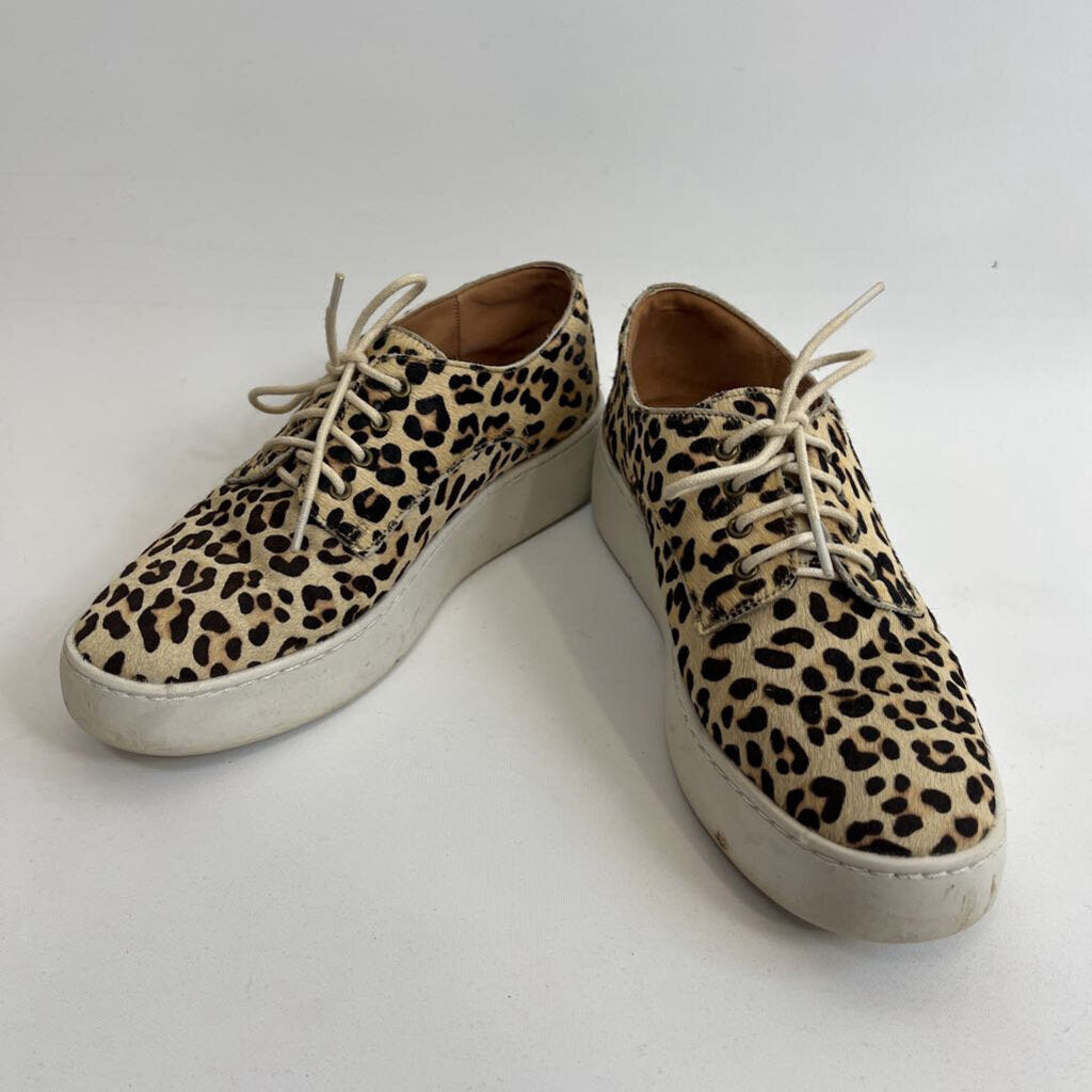 Rollie Shoes - 8/39