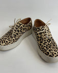 Rollie Shoes - 8/39