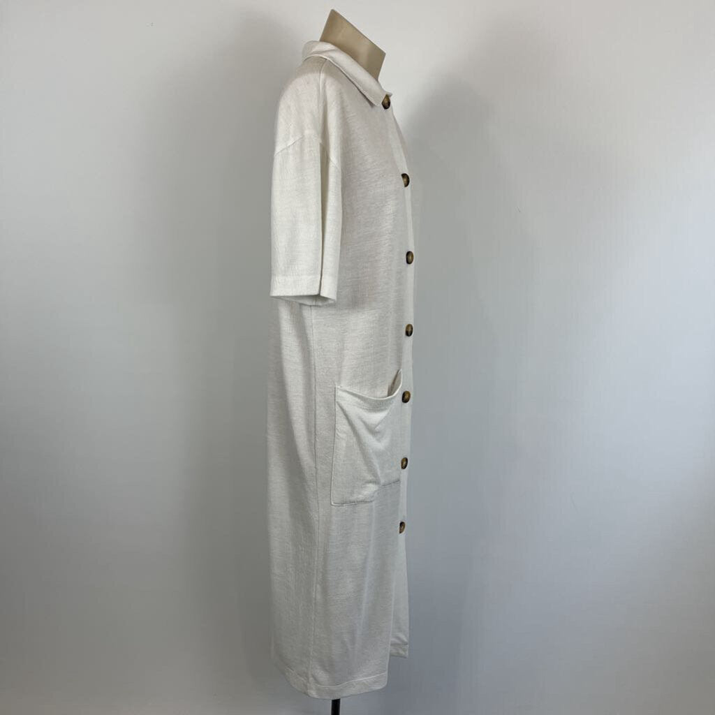 Zara Dress - M