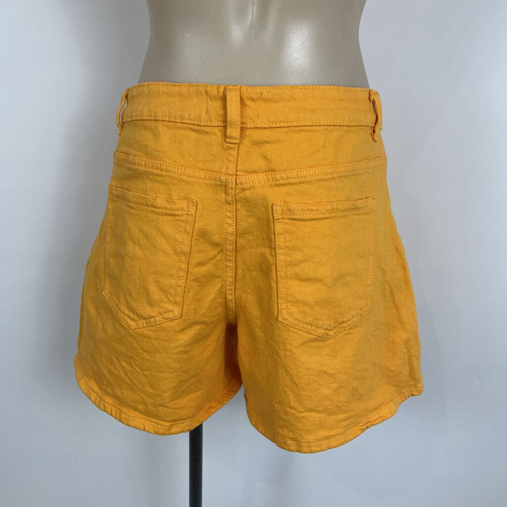 Dotti Shorts - 12