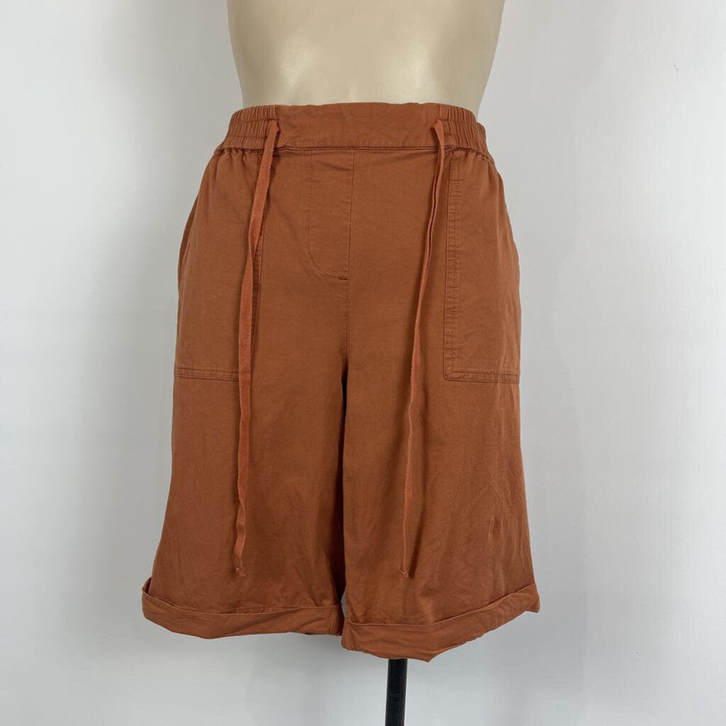 Zest Shorts - 16