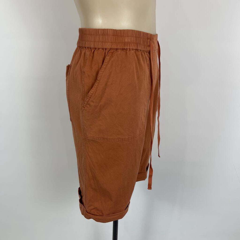 Zest Shorts - 16