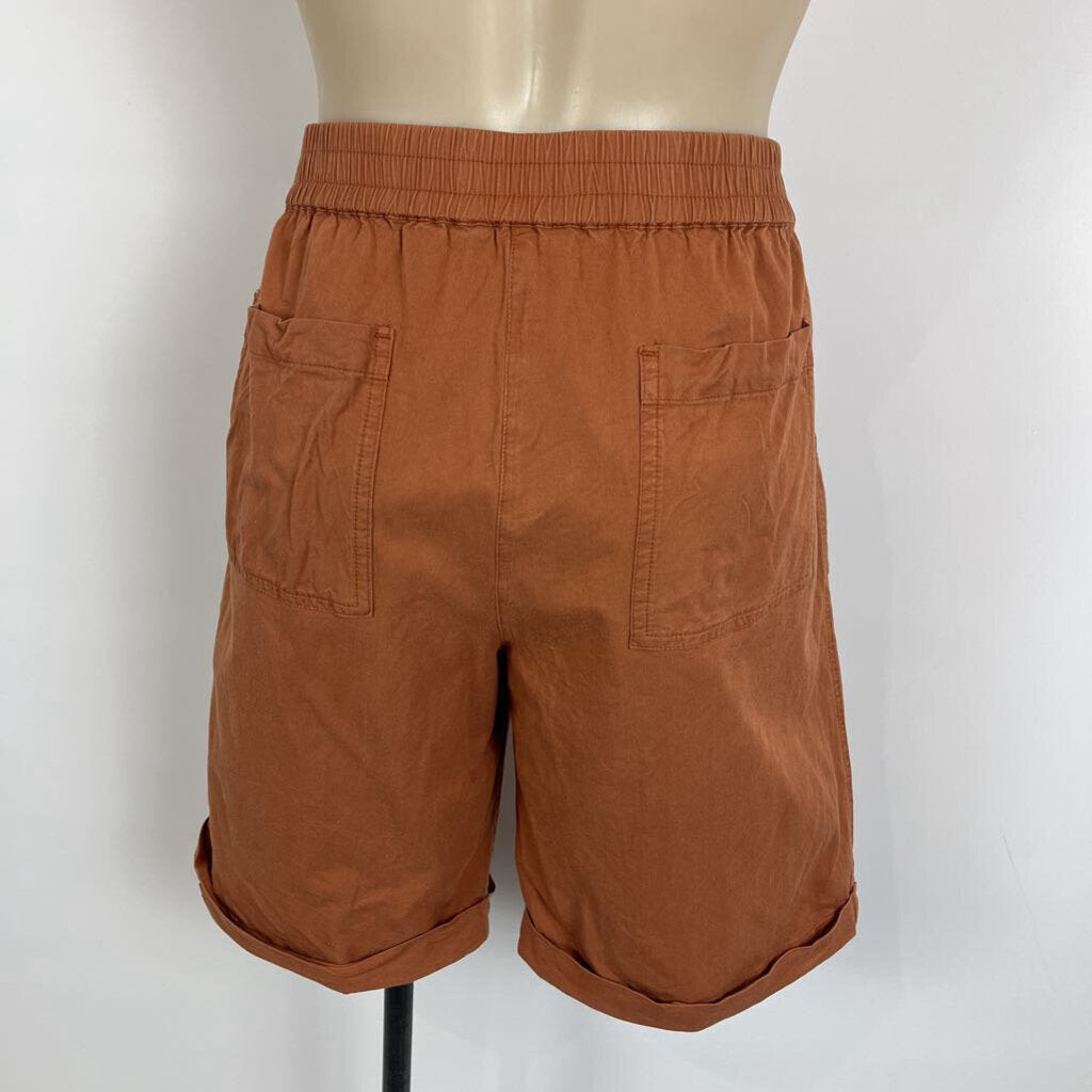 Zest Shorts - 16